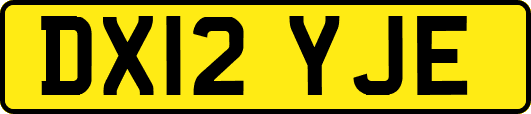 DX12YJE
