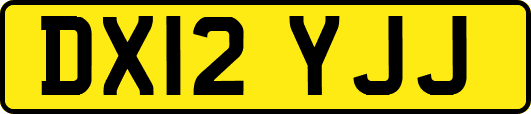 DX12YJJ
