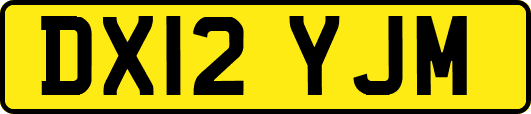 DX12YJM
