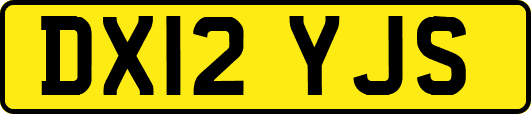 DX12YJS