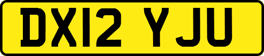 DX12YJU