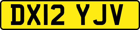 DX12YJV