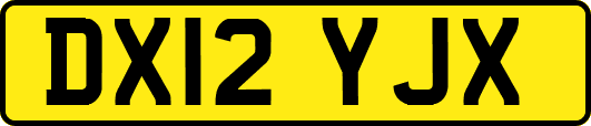 DX12YJX