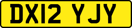 DX12YJY