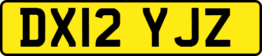 DX12YJZ
