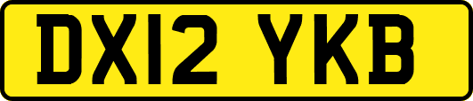 DX12YKB