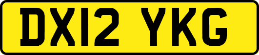 DX12YKG