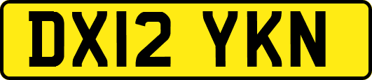 DX12YKN