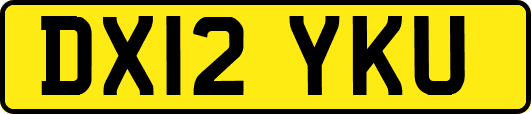 DX12YKU