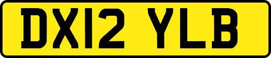 DX12YLB