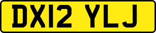 DX12YLJ