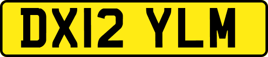 DX12YLM