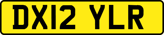 DX12YLR