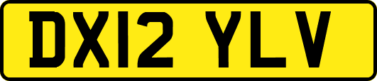 DX12YLV