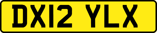 DX12YLX