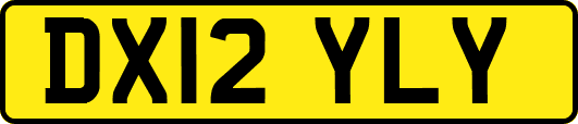 DX12YLY