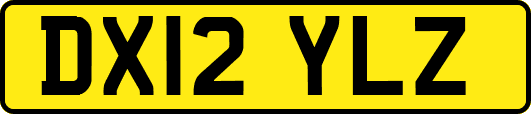 DX12YLZ