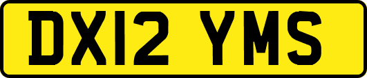 DX12YMS