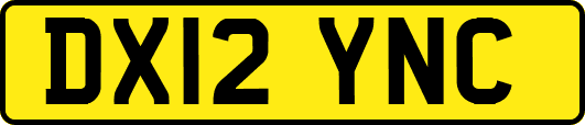 DX12YNC