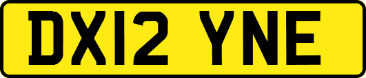 DX12YNE