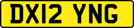 DX12YNG