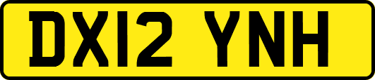 DX12YNH