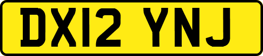 DX12YNJ