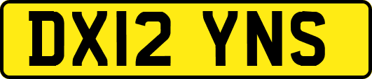 DX12YNS