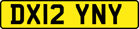DX12YNY