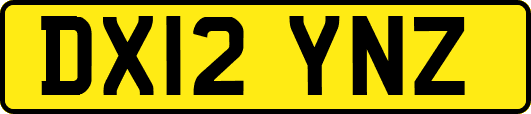 DX12YNZ