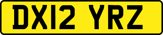 DX12YRZ