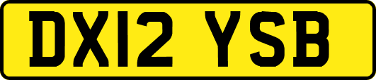DX12YSB