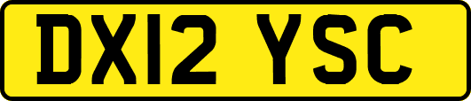 DX12YSC