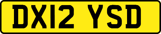 DX12YSD