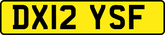 DX12YSF