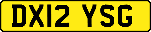 DX12YSG