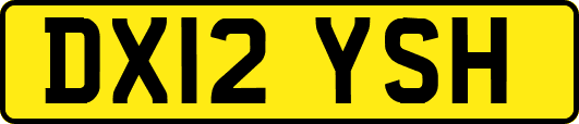 DX12YSH