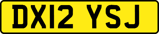 DX12YSJ