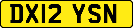 DX12YSN