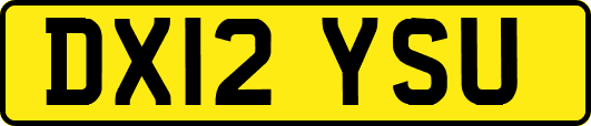 DX12YSU