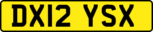 DX12YSX