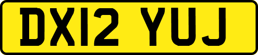 DX12YUJ