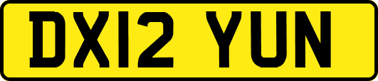 DX12YUN