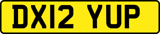 DX12YUP
