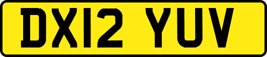 DX12YUV
