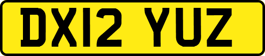 DX12YUZ