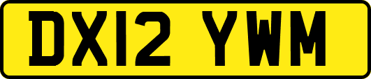 DX12YWM
