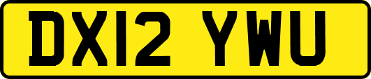 DX12YWU