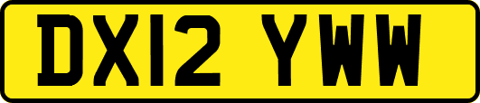 DX12YWW