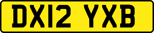 DX12YXB